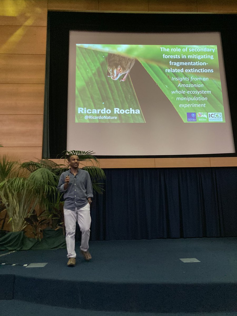 #gtoe2024 <a href="/RicardoNature/">Ricardo Rocha</a> from the front seat