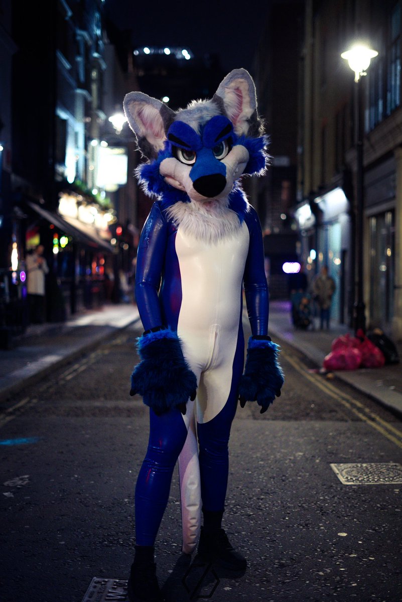 A wild latex 🦊 was found roaming the London streets. Soon you can catch this boy at #nfc 😉💙

📸 By the talented <a href="/hexyck/">Hexyc</a>