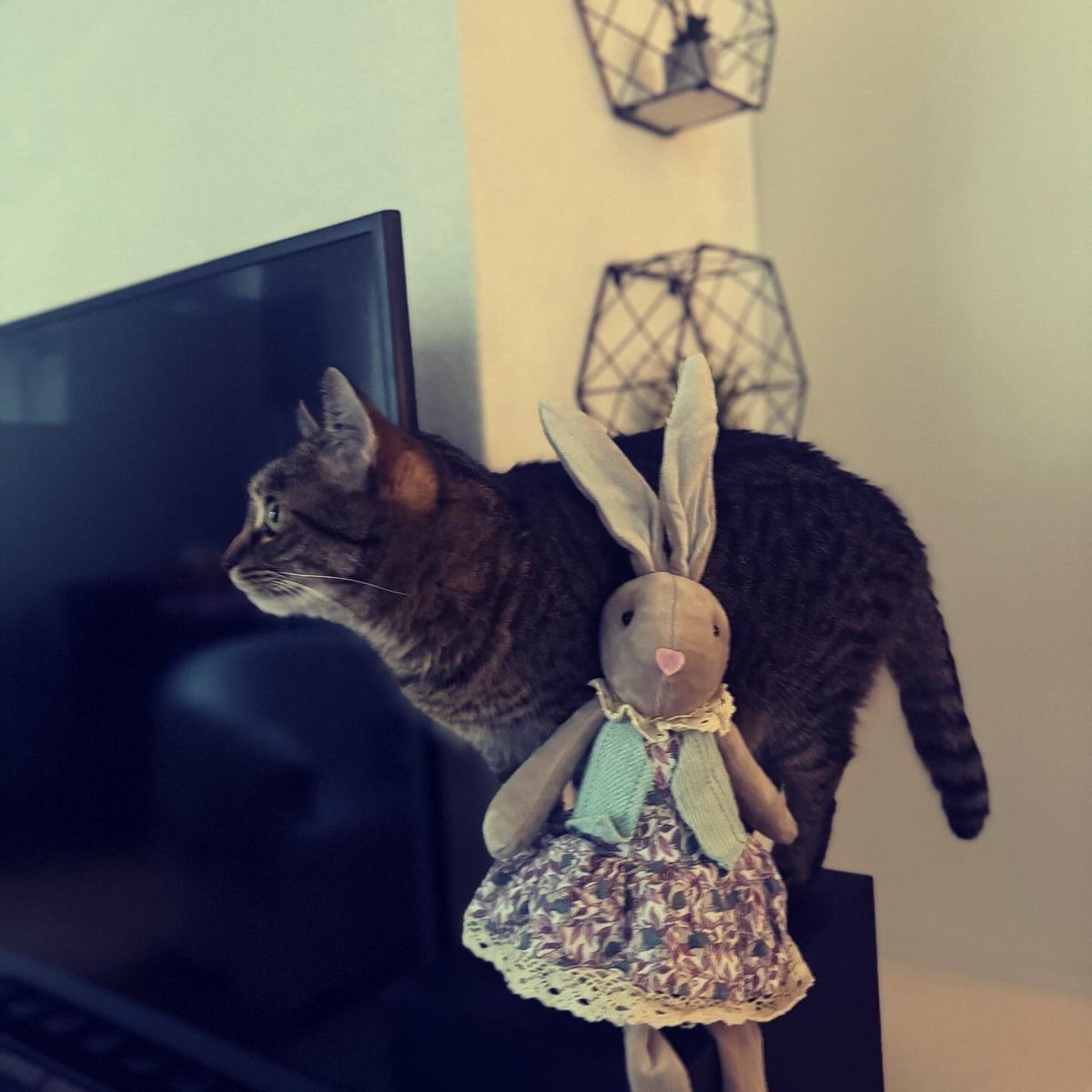 Medvidekpu's tweet image. Blíží se #velikonoce a tak tady máte zaječici a kočku #sisithecat