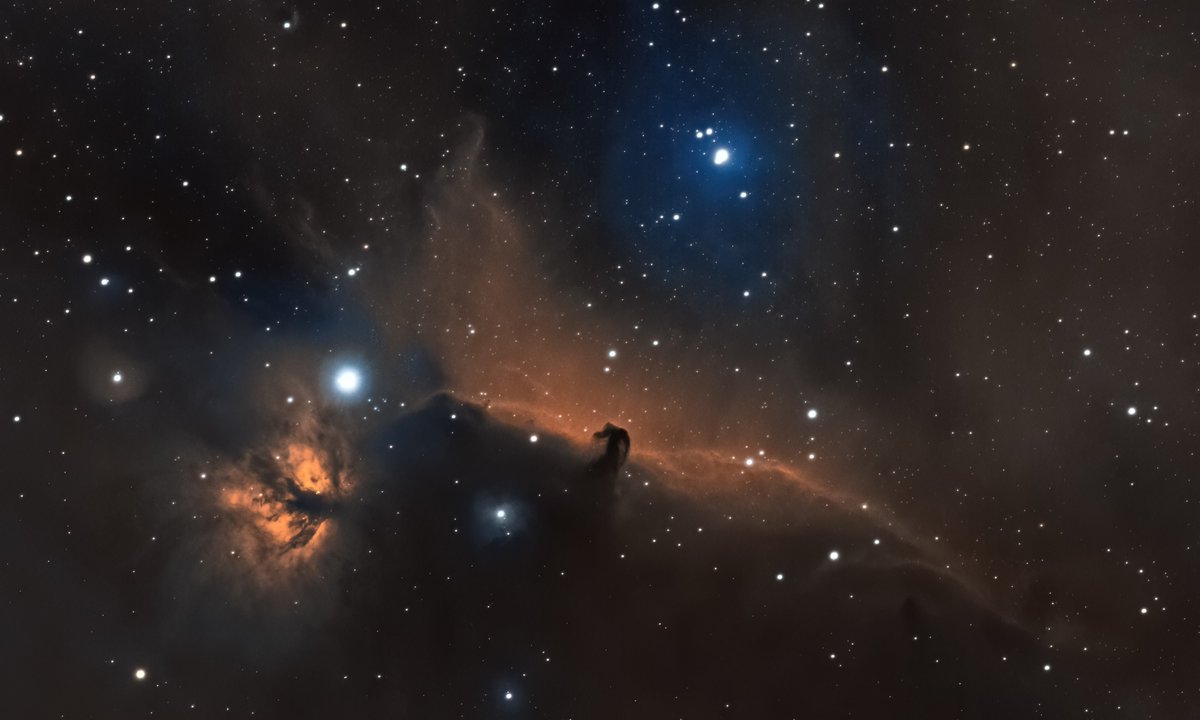 [audible]blink tweet media