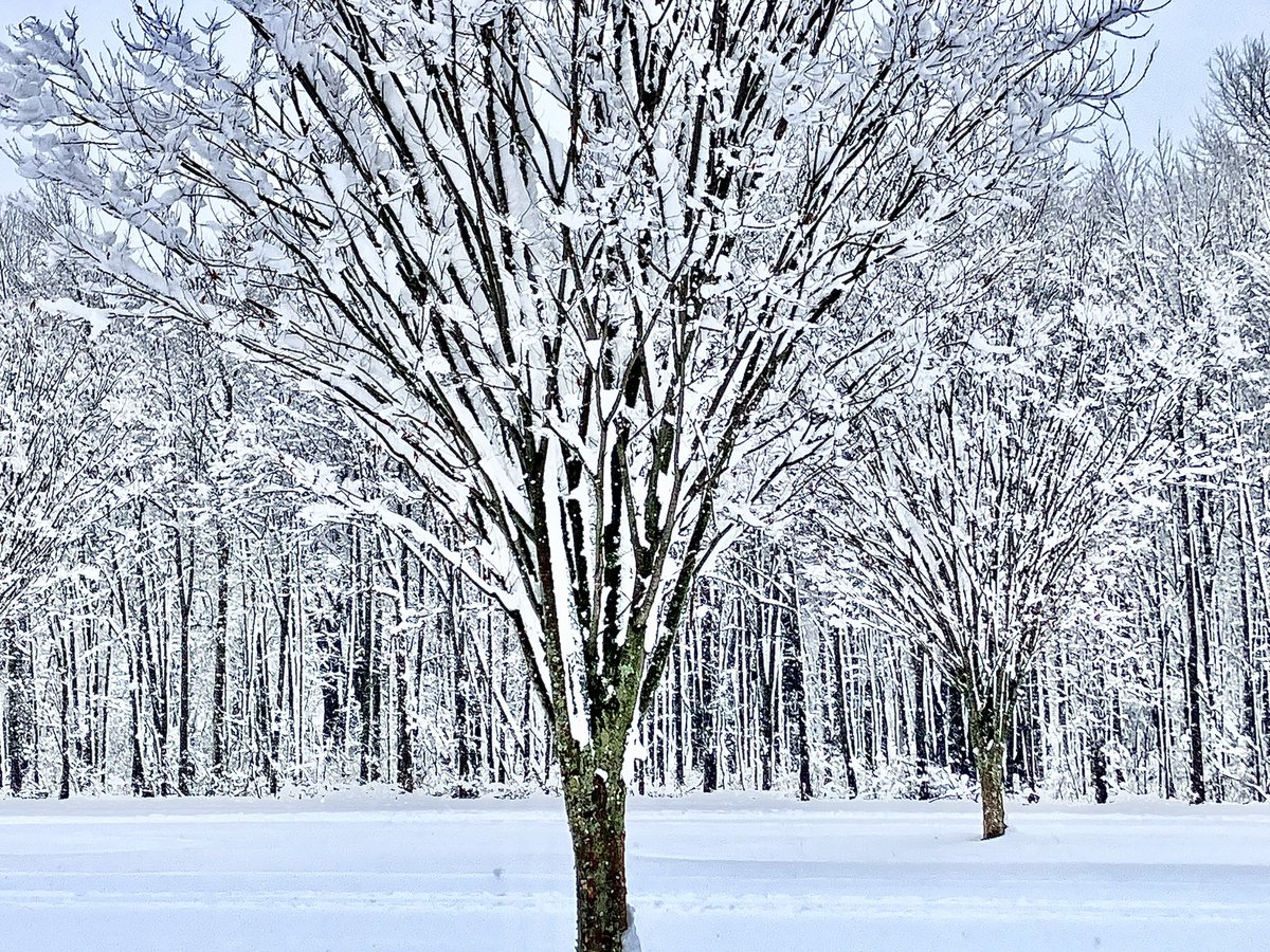 GeoffPatton's tweet photo. Snowy day in Hatfield Pa. https://t.co/WWJ0u4Wvp5