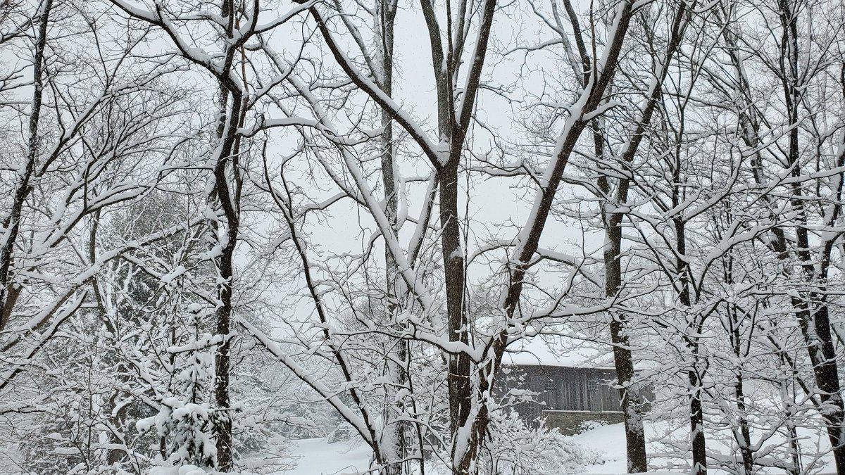 Six inches of snow and still falling. Just a preview of what the weather will be like on April 8 when I travel to  see the eclipse. #snowday