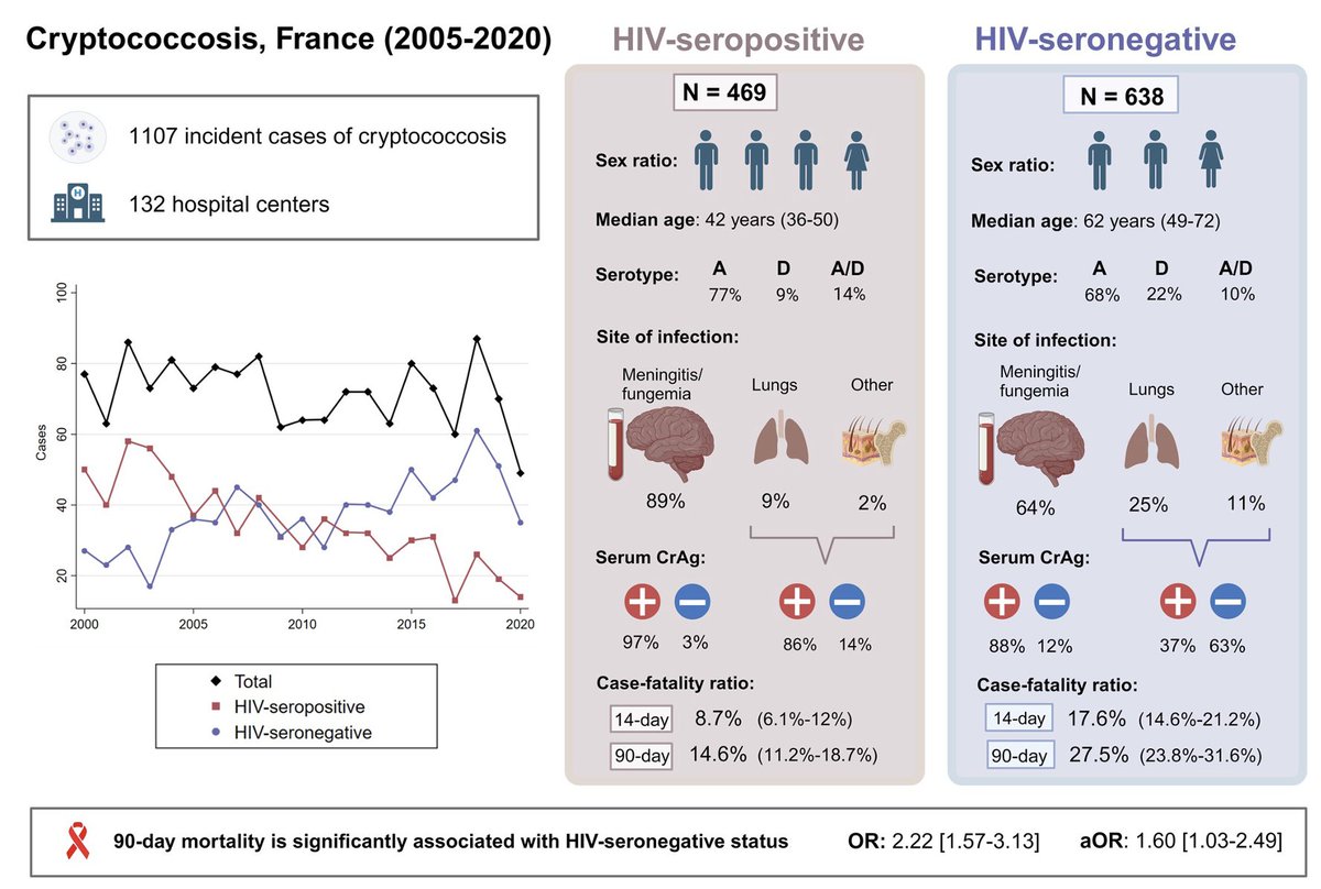 🆕 1107 cases of #cryptococcosis from 🇫🇷 over 15 years. Non-HIV population now > HIV population. Significant clinical, mycological and prognosis differences according to HIV status ⬇️ @FannyLanternier @MycologyPasteur @MarieDesnos2 doi.org/10.1093/ofid/o…