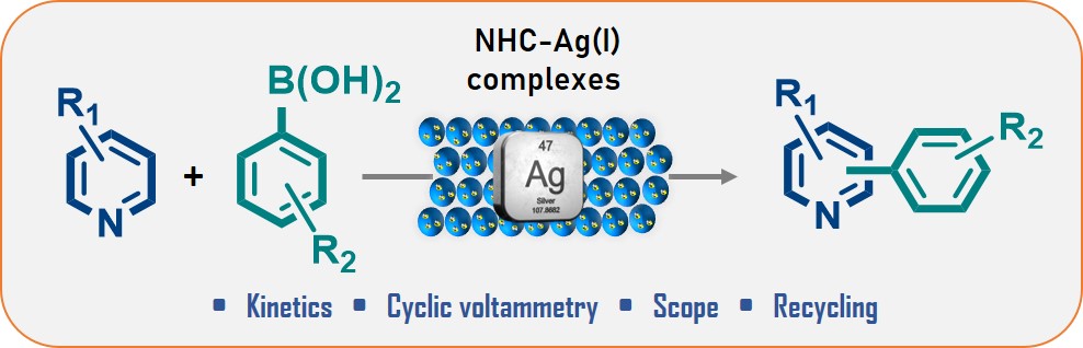 Our paper on the development of NHC-based Ag catalysts for borono-Minisci reaction is out on @ChemCatChem 🥳

…mistry-europe.onlinelibrary.wiley.com/doi/abs/10.100…

We've investigated their potential and limits providing a complementary tactic to standard protocols for #medchem & #flowchemistry applications.