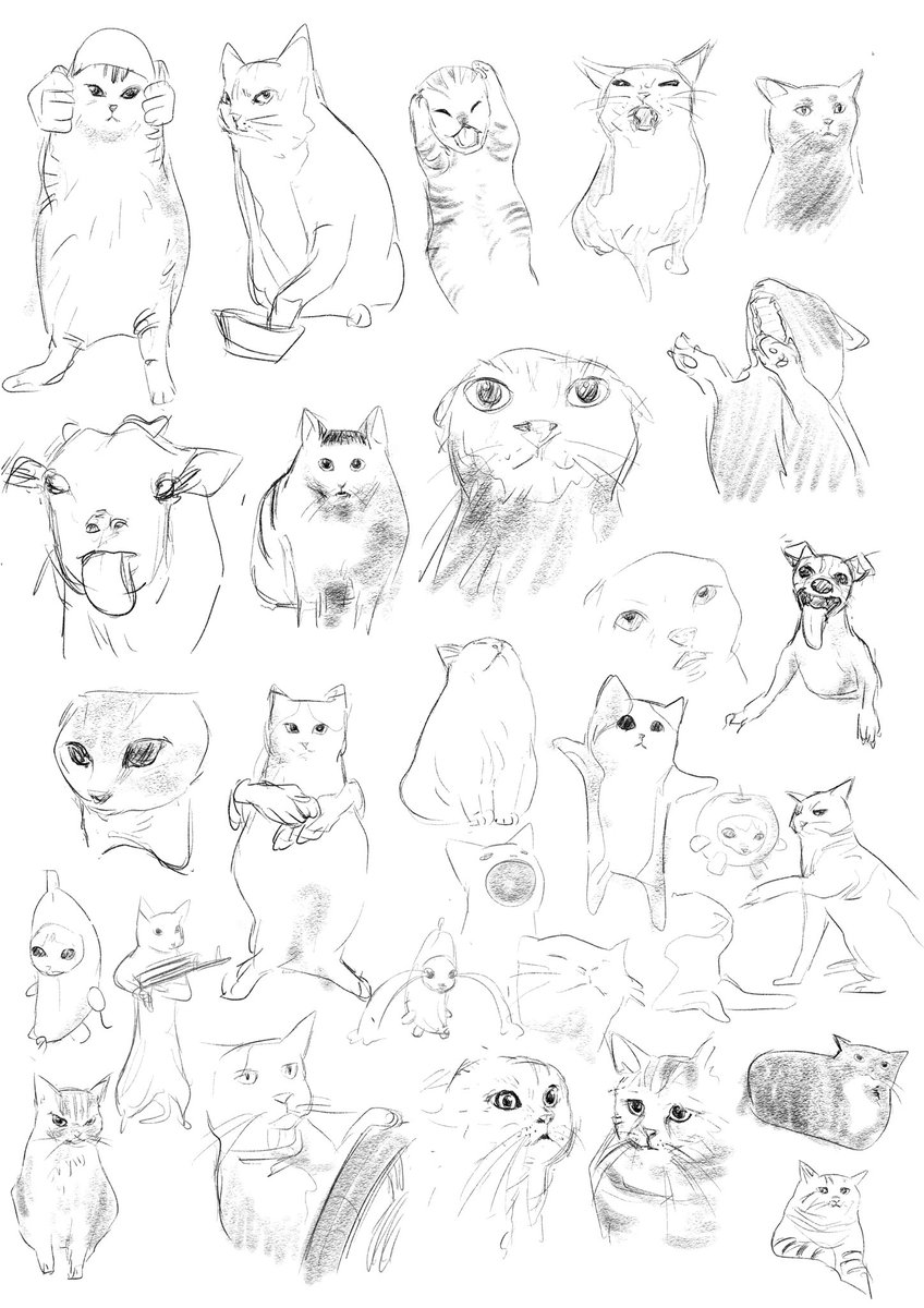 猫ミームやばい