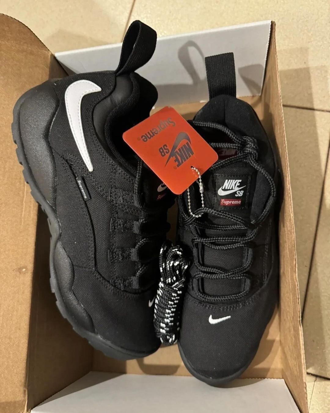 Supreme × Nike SB Darwin Low 