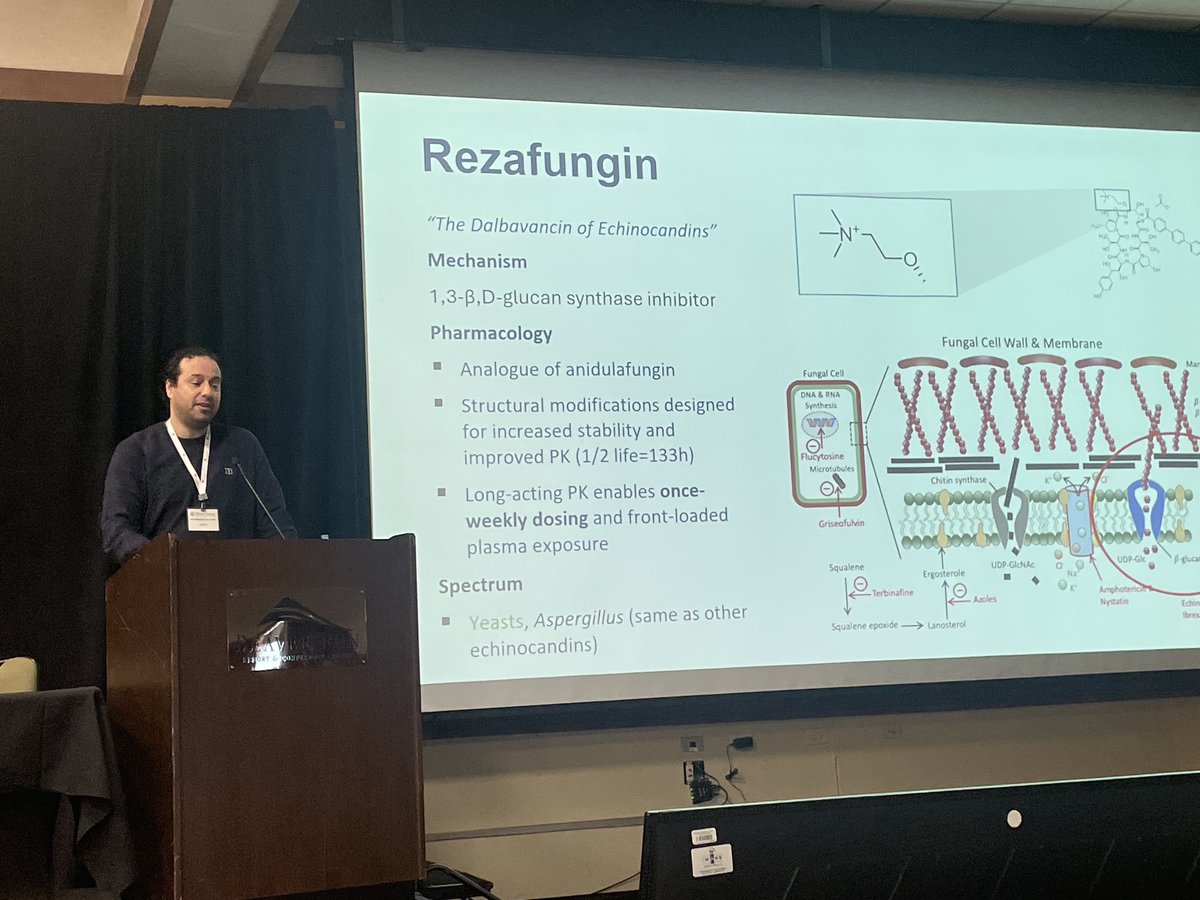 Great update on the antifungal pipeline from ⁦@GermHunterMD⁩ ⁦@WinterCourseID⁩ ⁦@dr_dmorgan⁩ ⁦@dan_diekema⁩ ⁦@idpharmd⁩ ⁦@DrJeanneM⁩ ⁦@VanceFowler5⁩