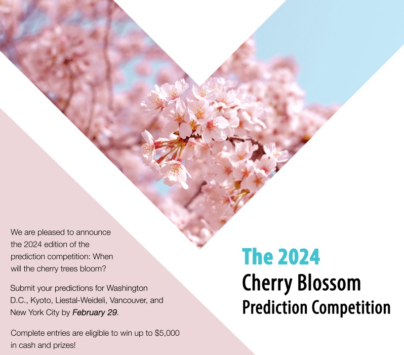Spring in the Northern Hemisphere is coming, so it's time for the 2024 Cherry Blossom Prediction Competition! Compete for cash & help scientists better understand climate change: competition.statistics.gmu.edu #Phenology @biometeorology @GeorgeMasonU @Columbia @TheresaCrimmins