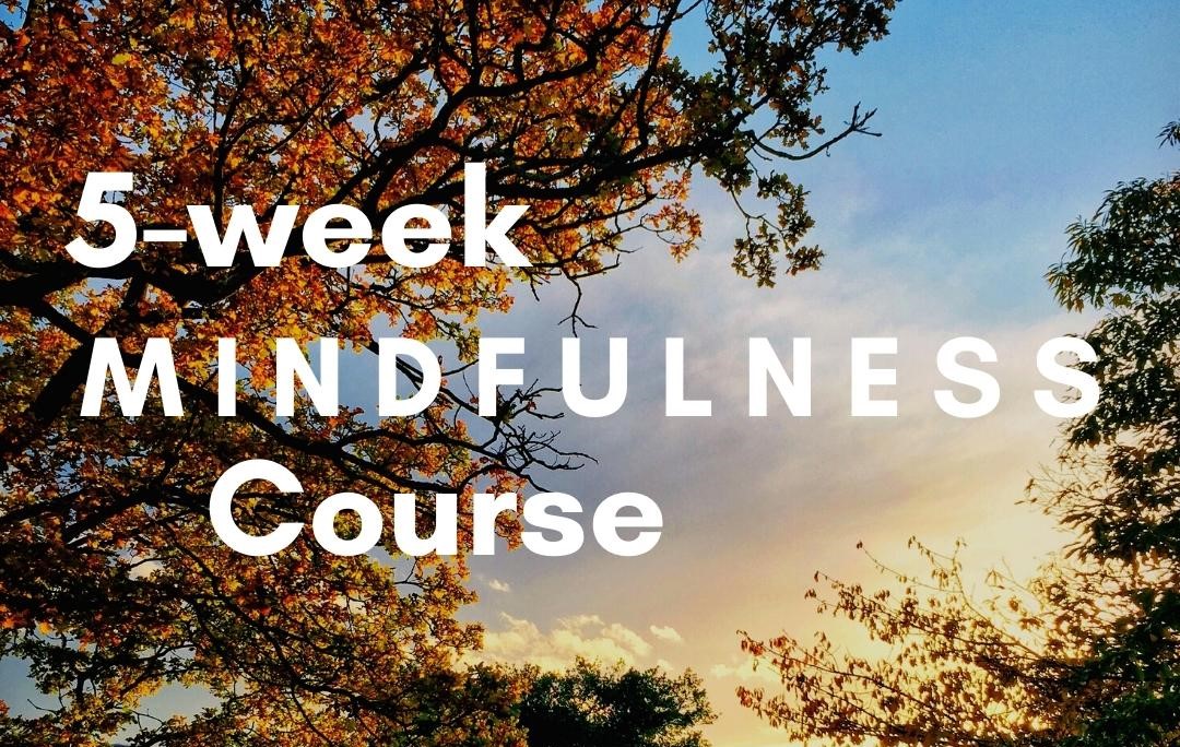 Mindfulness has been shown to Reduce stress, anxiety and depression Improve sleep quality Improve job performance Improve your emotional and social skills. So come and join our on line mindfulness sessions: blogs.kent.ac.uk/economics/2024…