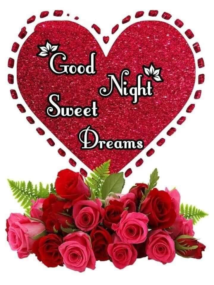 Assalamu Alaikum
Good night ❤️
X family