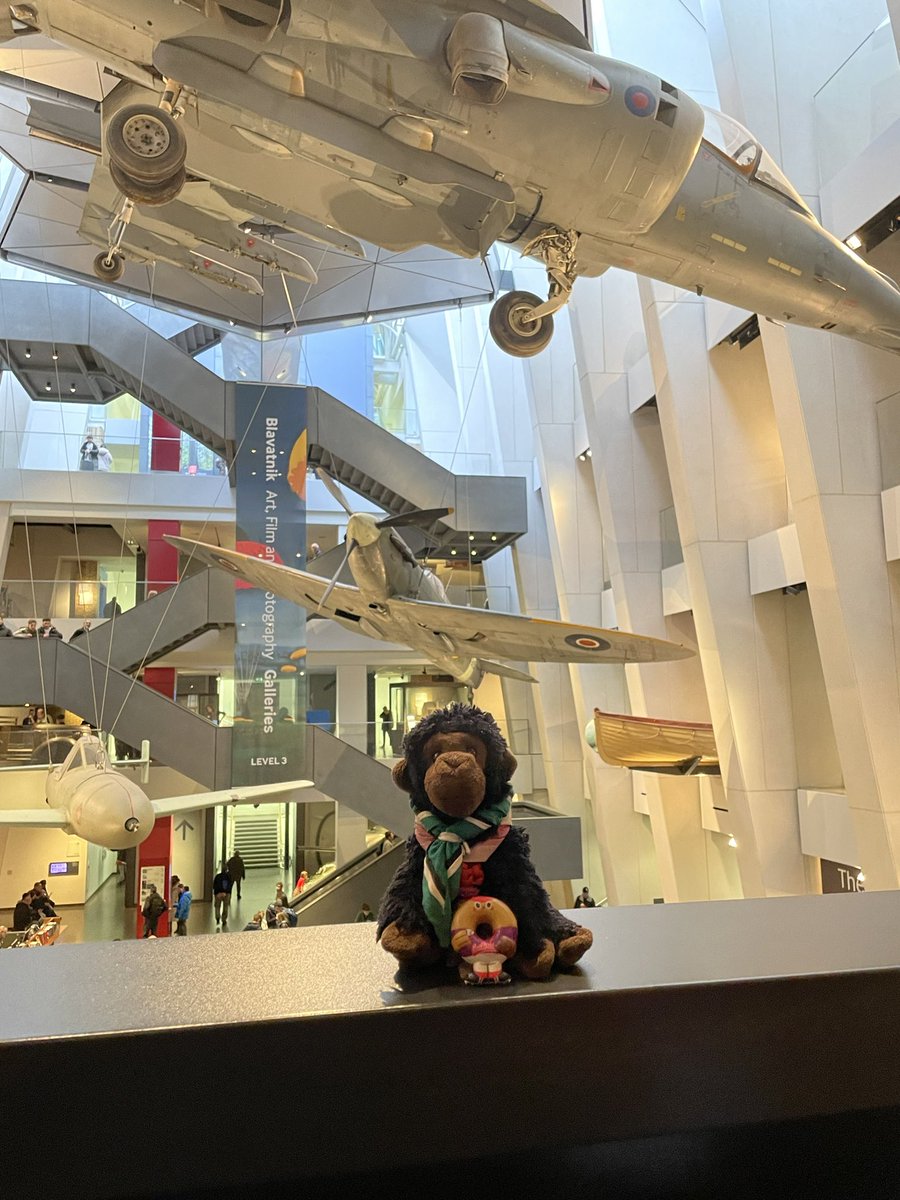 George the Gorilla (@georgetgorilla) on Twitter photo By George has found a new friend at the Imperial War Museum <a href="/2ndExeterScouts/">2nd Exeter Scouts</a> By George has found a new friend at the Imperial War Museum <a href="/2ndExeterScouts/">2nd Exeter Scouts</a>