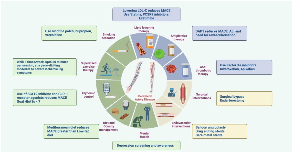 Delighted to share our latest publication in @CurrProbsCardio - a comprehensive review exploring pathophysiology, lifestyle modifications, pharmacotherapy, and cutting-edge interventional approaches in #PAD management. Grateful to all co-authors for their insightful