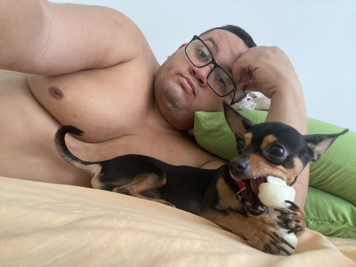 Oikironn's tweet photo. E como esta o seu #Carnaval2024 ? Por aqui descansando e curtindo do nosso jeito #Bitcoin #dog #pinscher #cachorro #gordo #gordinho #chubbyboy #fatboy #AmoryPaz https://t.co/XfQ3TKtmV5