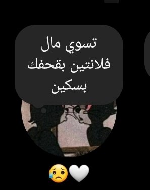 meca🤍 tweet media