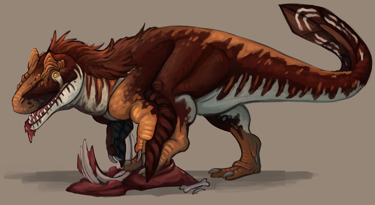 Had the honor to draw this neat allosaurus again!