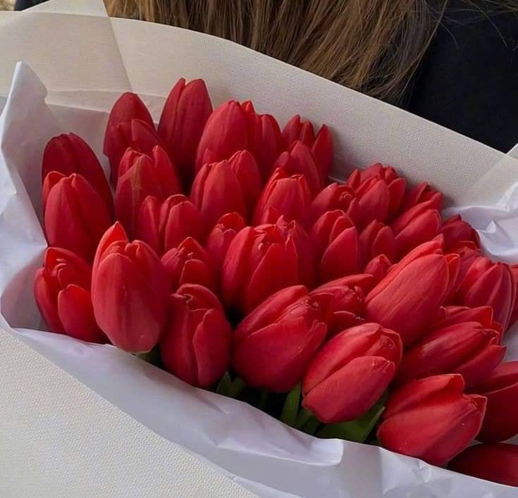Ňōhä❤️💫🧜‍♀️🔮 tweet media