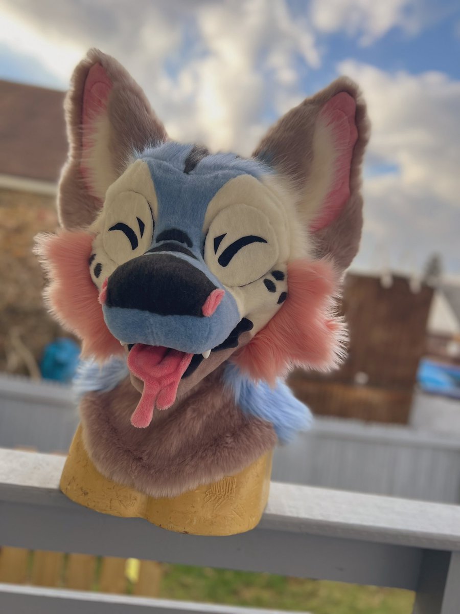 Lily Moon suits tweet media