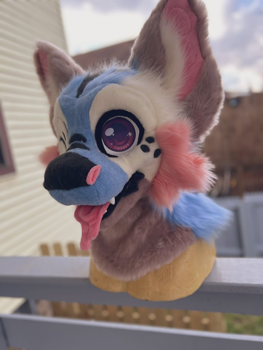 Lily Moon suits tweet media