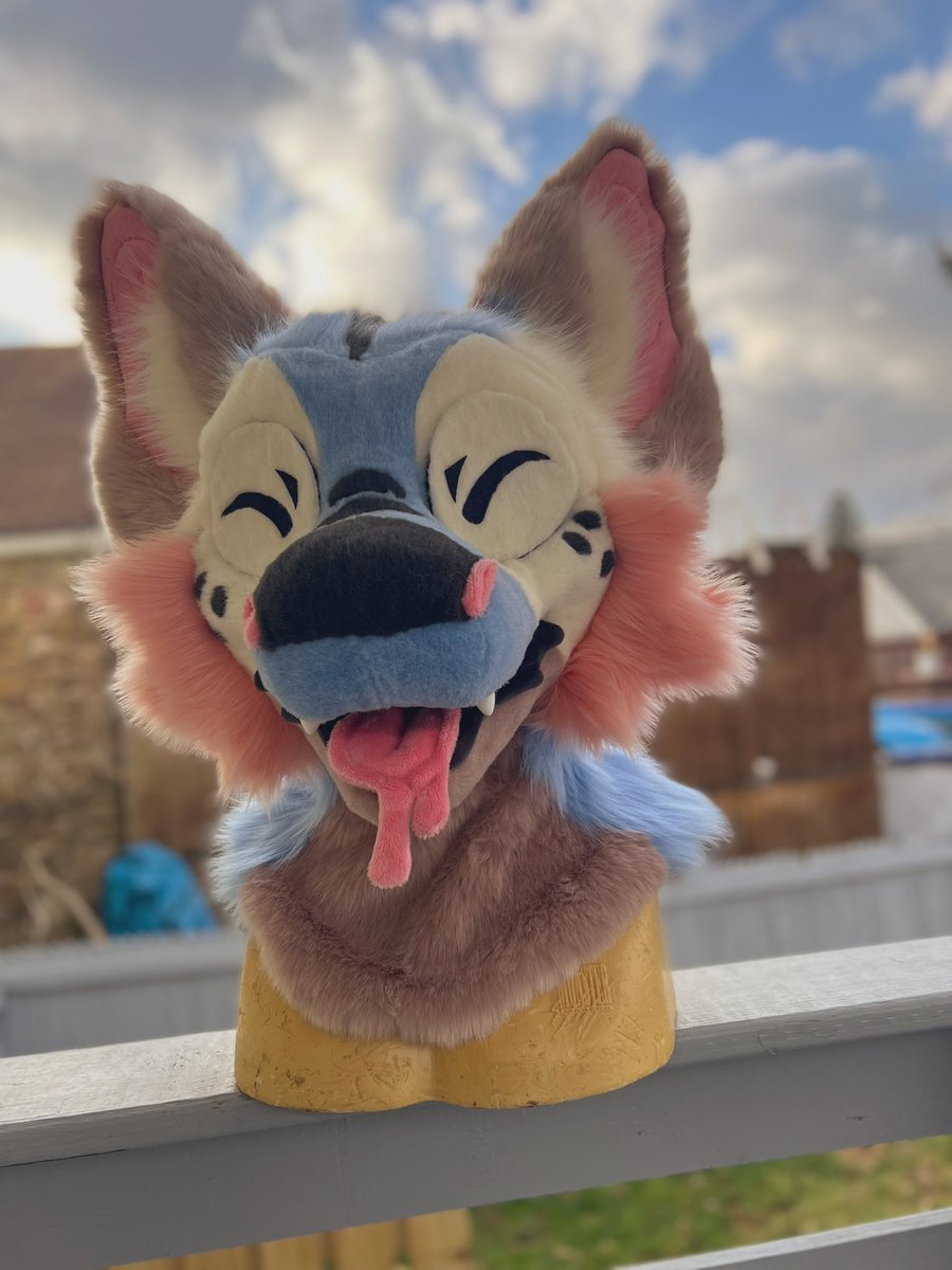 Lily Moon suits tweet media