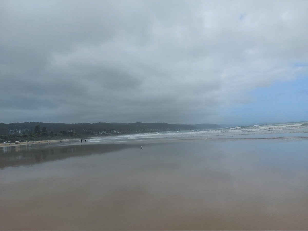 Alison Roennfeldt tweet media