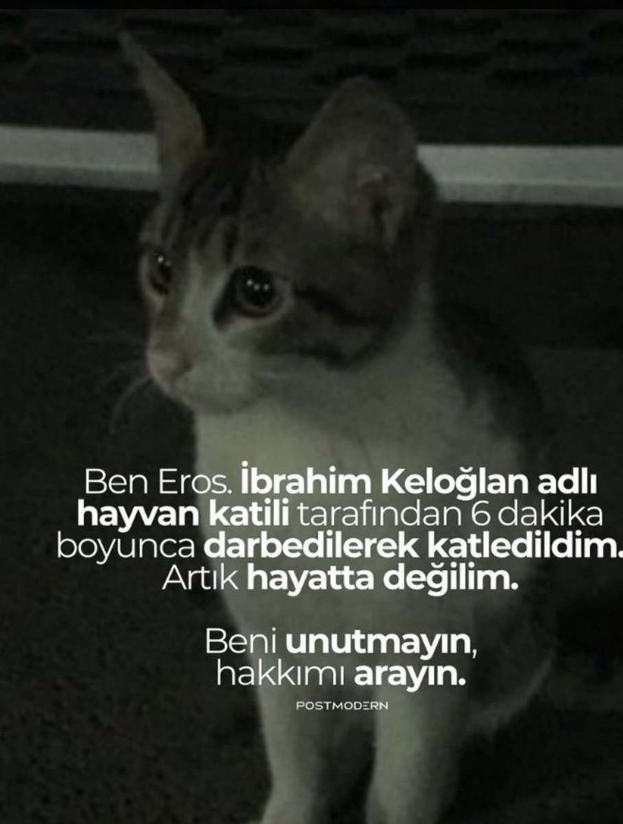 Sen bu cana 6 dk darbederek öldürebiliyorsan sen benim gözümde acımasız bir katilsin  #ibrahimkeloğlantutuklansın