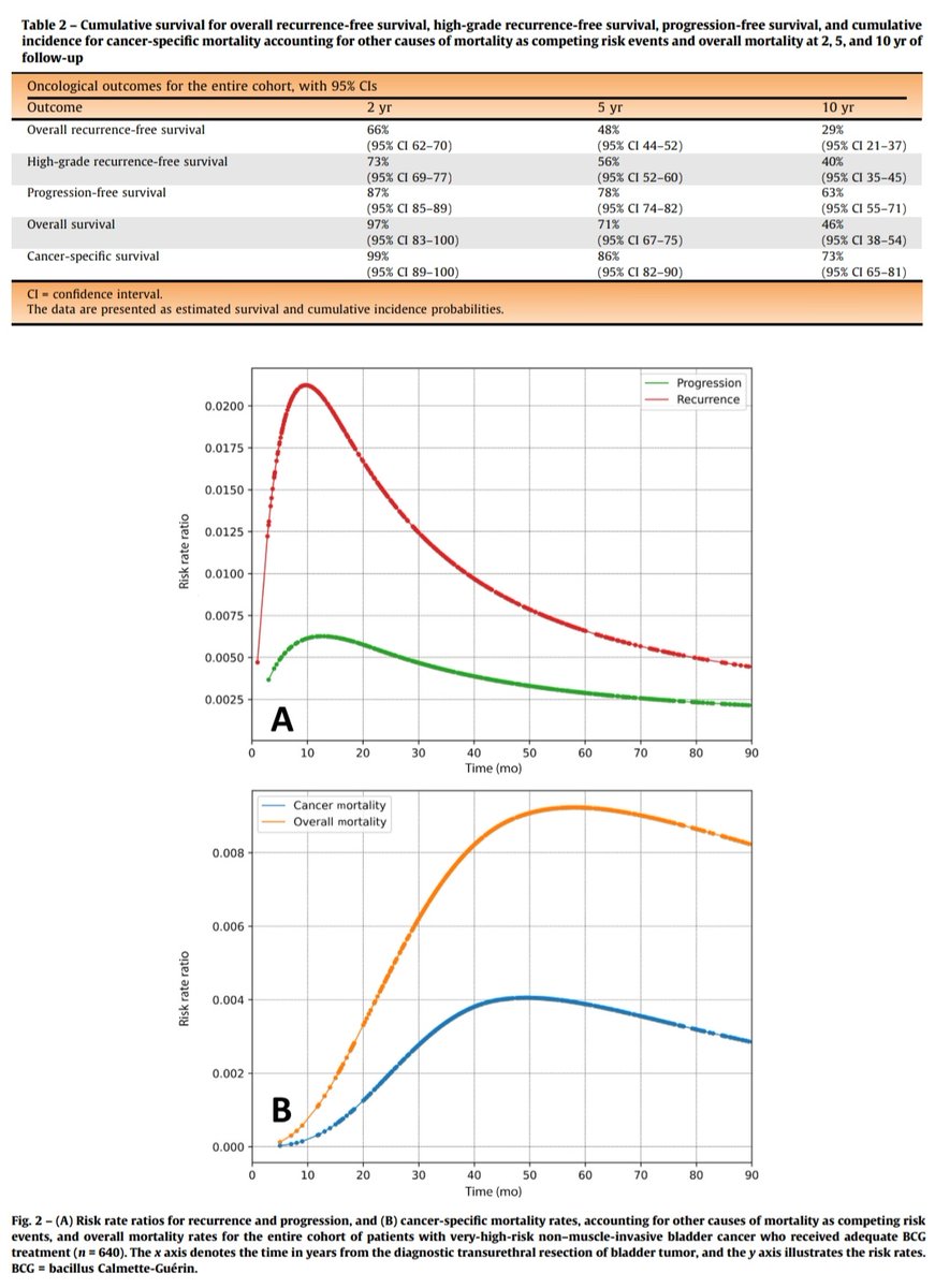 Daniel_Urologia's tweet photo. 💪 Strong work led by @josedsh on the use of BCG for bery high risk non muscle invasive bladder cancer. 

🔗  Full paper available (50 days free access) https://t.co/9H0OPxCIiZ https://t.co/ZYB8kTAtRh