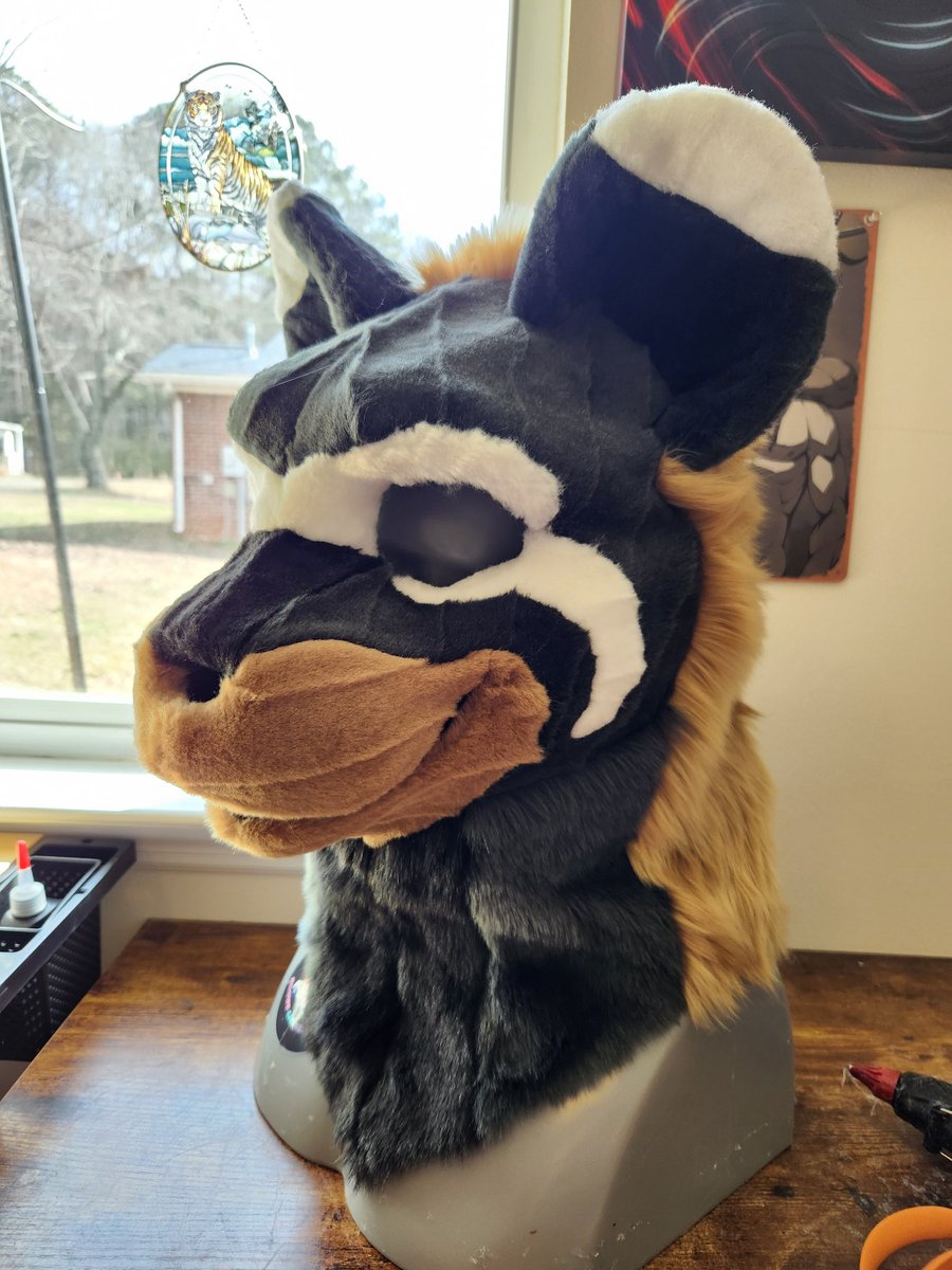 ClownCarCritter's tweet photo. Start to Finish of Caz the Marbled Polecat! 

Commissions are Open for Clown Car Critters! 🎟 
https://t.co/TD81pGbWNO

#fursuitmaker #furryfandom #commissionsopen #commissions
#furry #fursuit https://t.co/CCxxQqVy5s
