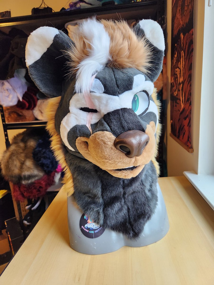 ClownCarCritter's tweet photo. Start to Finish of Caz the Marbled Polecat! 

Commissions are Open for Clown Car Critters! 🎟 
https://t.co/TD81pGbWNO

#fursuitmaker #furryfandom #commissionsopen #commissions
#furry #fursuit https://t.co/CCxxQqVy5s