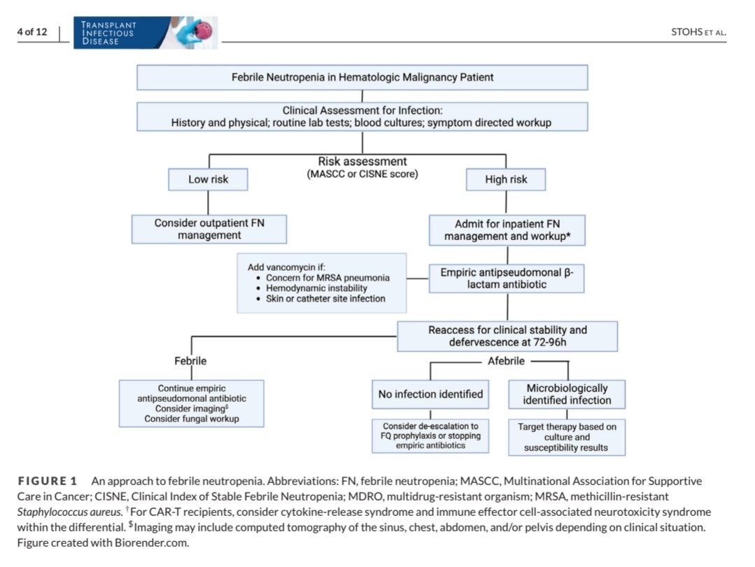 ABsteward's tweet photo. Fantastic review 🌟@TheTxIDjournal @UNMC_ID @EStohs @AnumAbbasMD
Updates in the approach to febrile neutropenia in hematologic malignancy patients receiving chemotherapy and recipients of hematopoietic cell transplantation (HCT) &amp; cellular therapies[CAR)-T
https://t.co/pA67cco26A https://t.co/zJZnwuo1RS