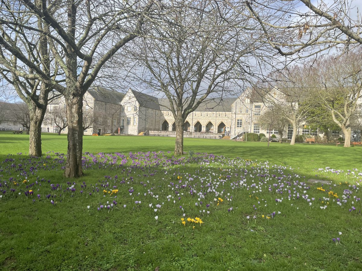 St Luke’s Volunteer Garden tweet media