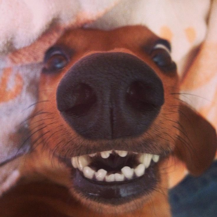 Doxieonsol's tweet photo. My wiener every time a buy alert comes in 🟢🟢🟢🟢🟢🟢🟢🟢🟢🟢🟢🟢🟢🟢🟢🟢🟢🟢🟢🟢🟢🟢🟢🟢🟢🟢🟢🟢🟢🟢🟢🟢🟢🟢🟢🟢🟢🟢🟢🟢🟢🟢🟢🟢🟢🟢🟢🟢🟢🟢🟢🟢🟢🟢🟢🟢🟢🟢🟢🟢🟢🟢
Join our telegram today and follow every buy with our community here at $doxie #doxie #solana https://t.co/Pyz4V94A1K