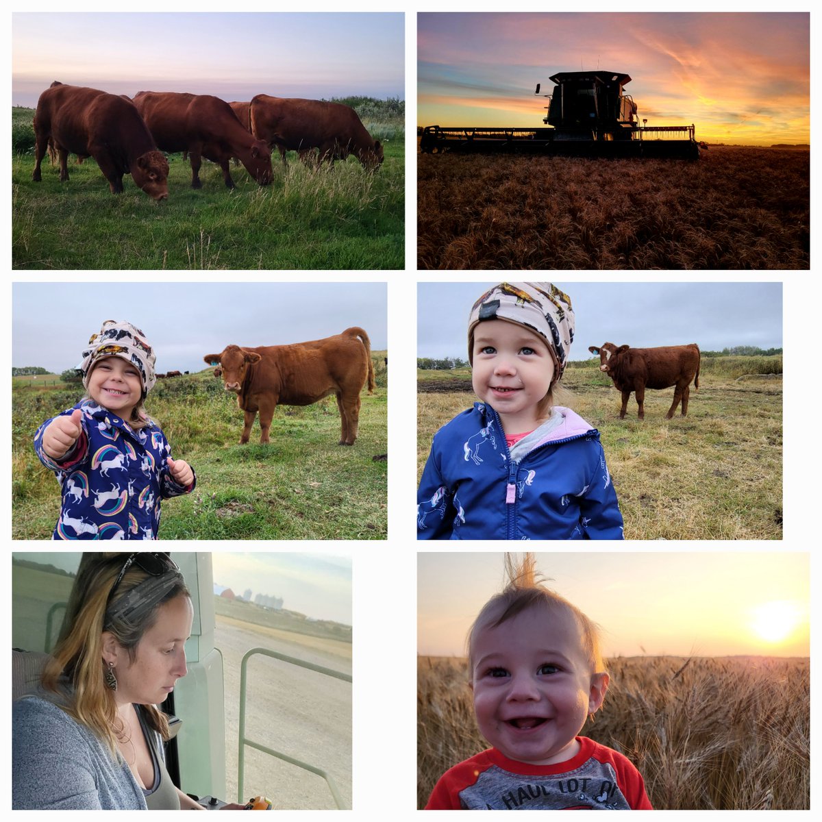 Happy #CdnAgDay !  The most important industry in the world and probably the most misunderstood one at that but it's the we as farmers are the only ones people need 3 times a day! There's no place I'd rather be!  #farmingmatters #farmfamiliesmatter #feedingtheworld