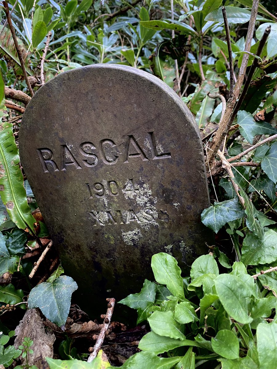 Mynwent yr anifeiliaid anwes / Pet cemetery
Adfeilion Baron Hill Ruins
Biwmaris
Ynys Môn
Cymru