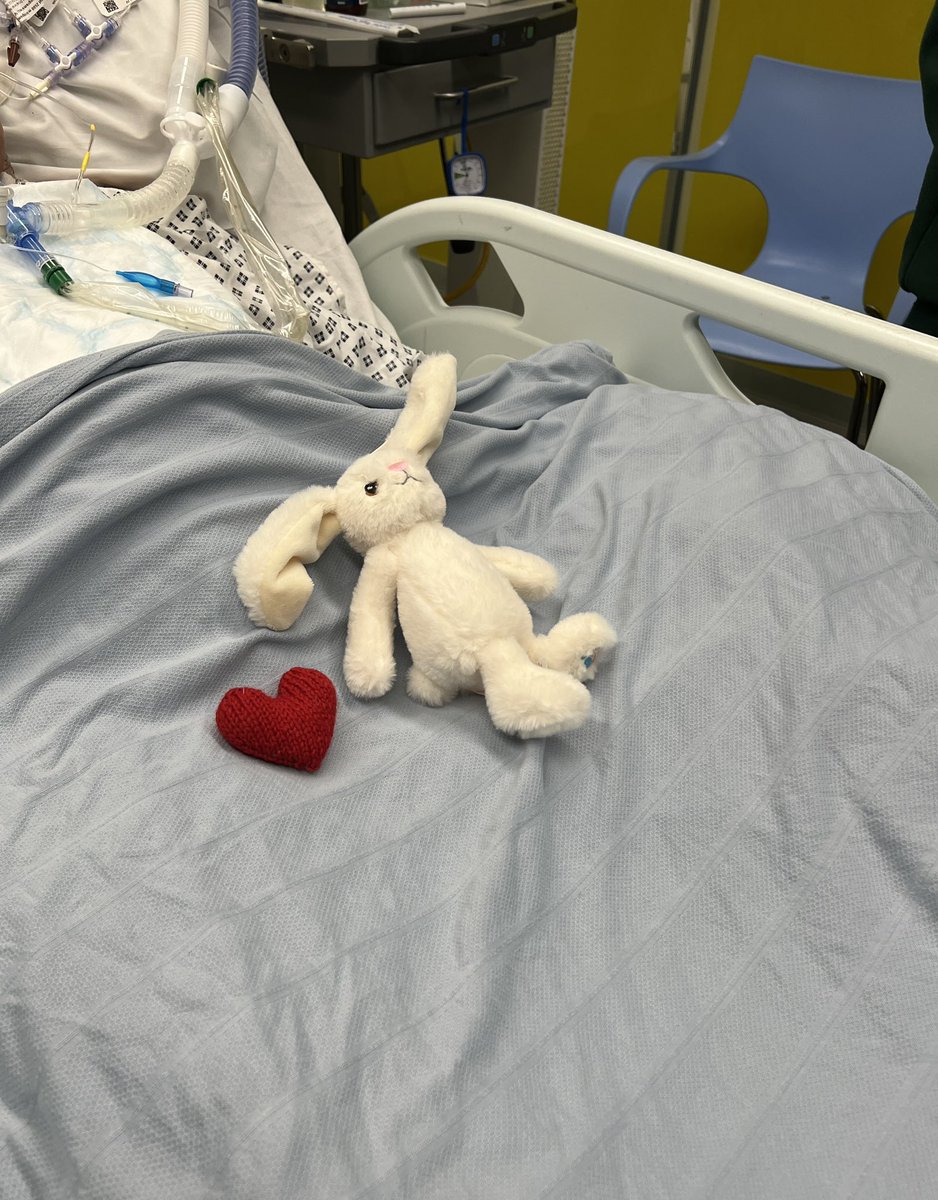 soulcas 𓆩♡𓆪 tweet media