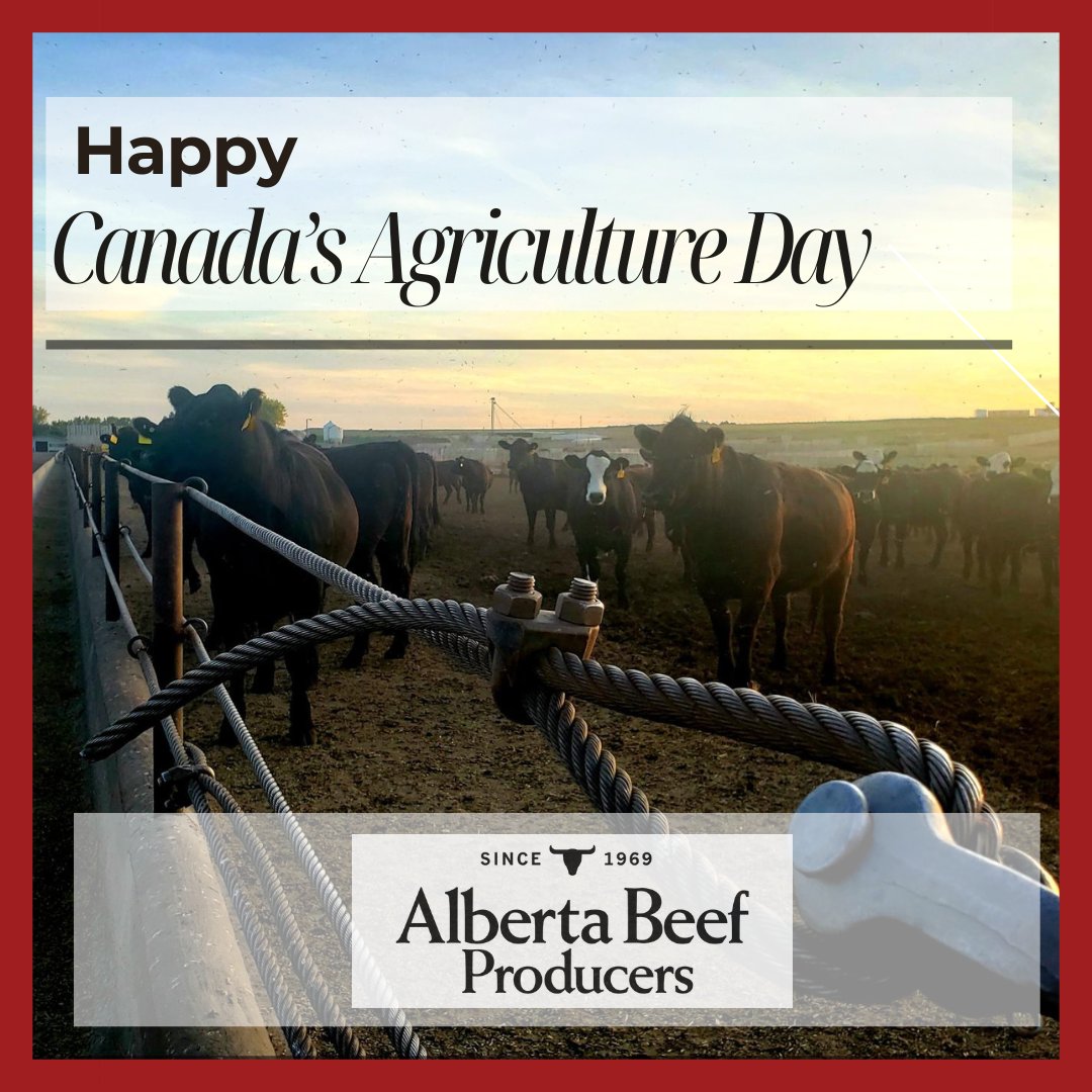 Happy Canada's Agriculture Day from Alberta Beef Producers! We hope you are taking the time today to celebrate the industry we are so proud to be a part of.
#cdnag #abag #westcdnag #abbeef #cdncattle #CdnAgDay