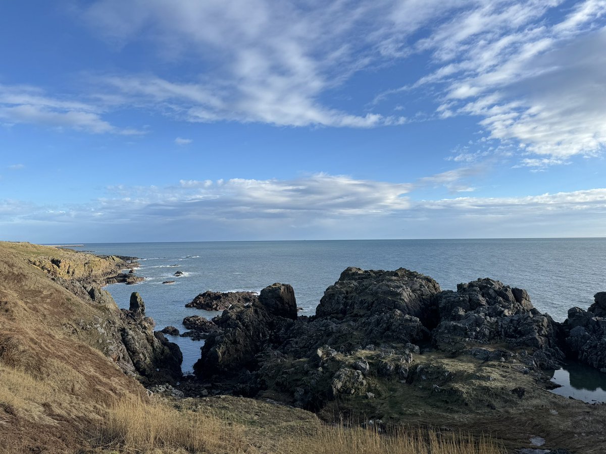 Fantastic couple of days in Aberdeen with @fmanfredini79 and @morgsmorrison73 doing bee research, plus a lovely walk on the coast