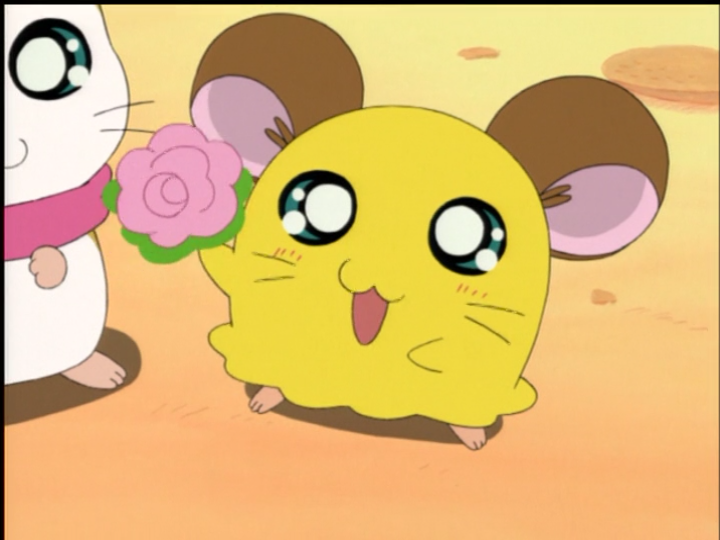 Hamtaro Penelope Penelope/Gallery | The Hamtaro Wiki | Fandom