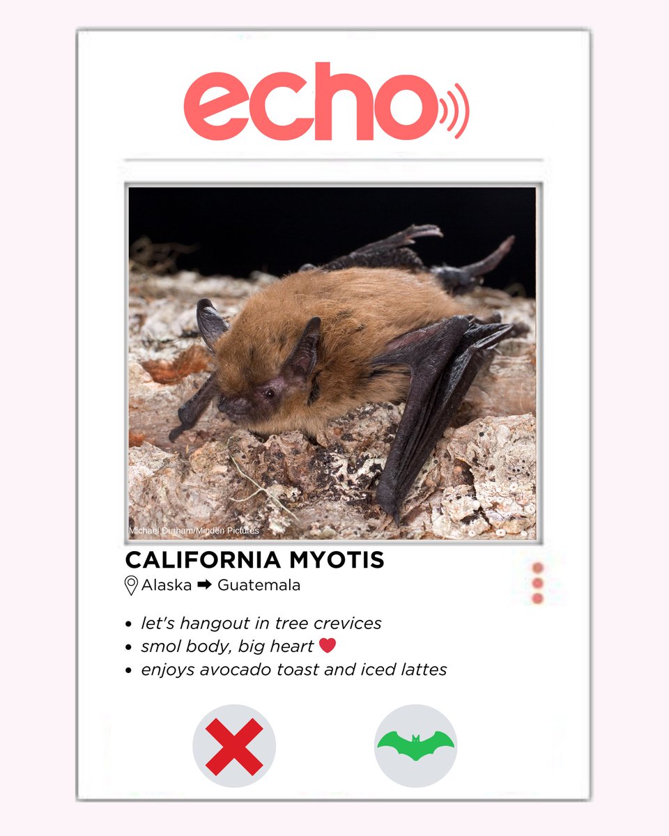 With so many eligible bat-chelors, who are you swiping right on?! 🦇🔥  /1