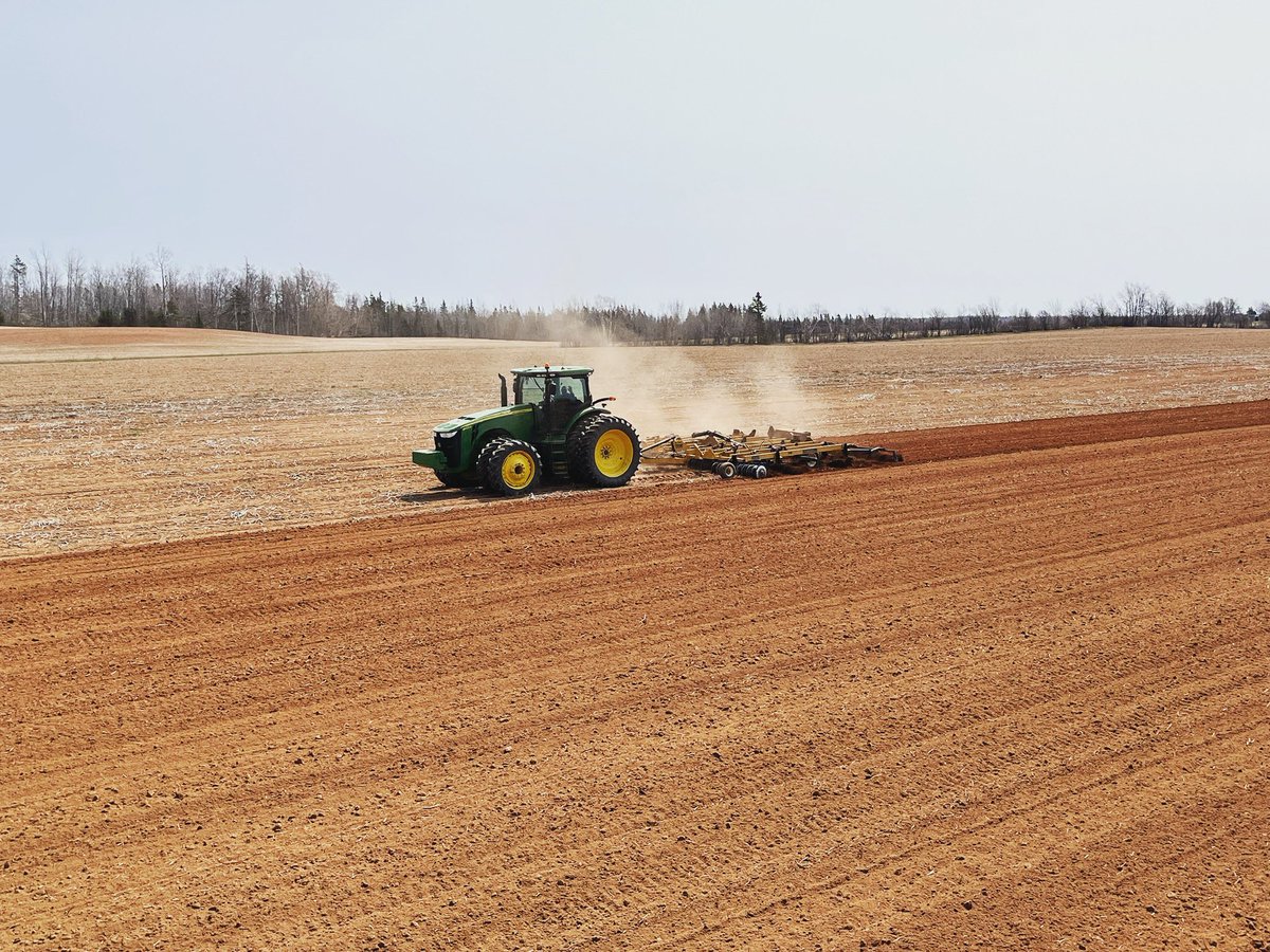 Marshall Smallman tweet media