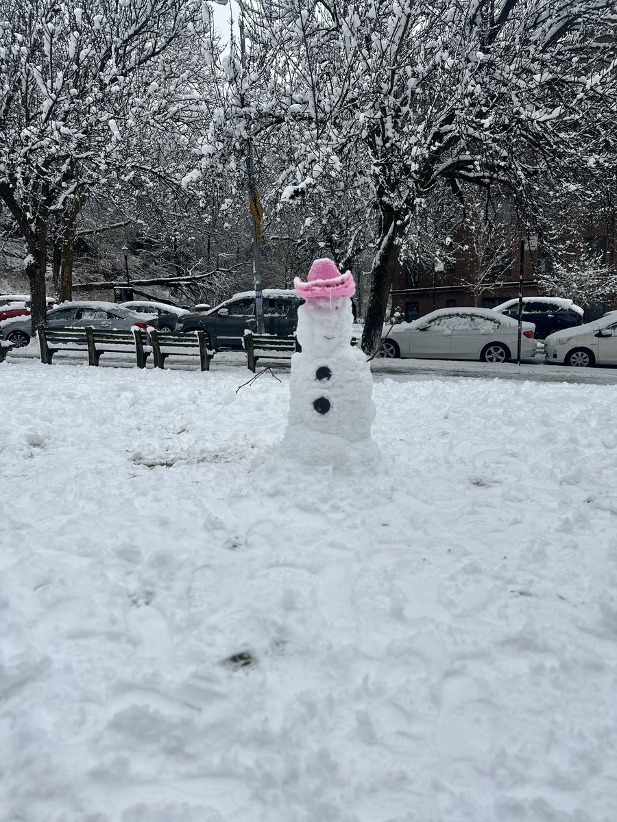 #Inwood #snowstorm2024