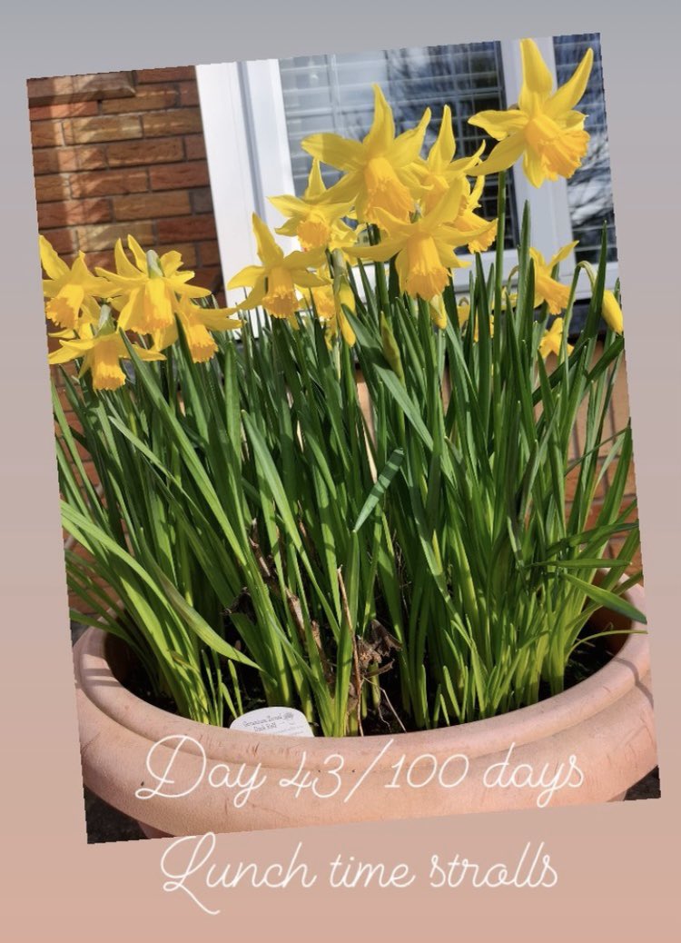 suzeewong's tweet image. Days 43 &amp;amp; 44 #100daysofwalking 

"What a difference a day makes, 24 little hours......." #randomlyrics 

A little more then 24 😉 

Day -V- Night