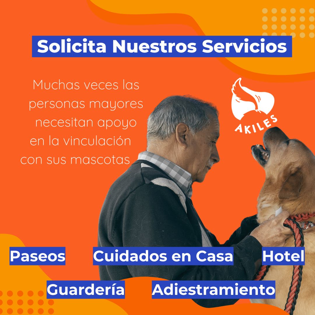 Akiles_cl's tweet photo. 🐶💖 Si ves a una persona mayor que necesita apoyo, ¡pueden solicitar nuestros servicios para hacer la diferencia! 🤝 #VinculoEspecial #BienestarSenior #Antofagasta https://t.co/yCDT1U5gd2