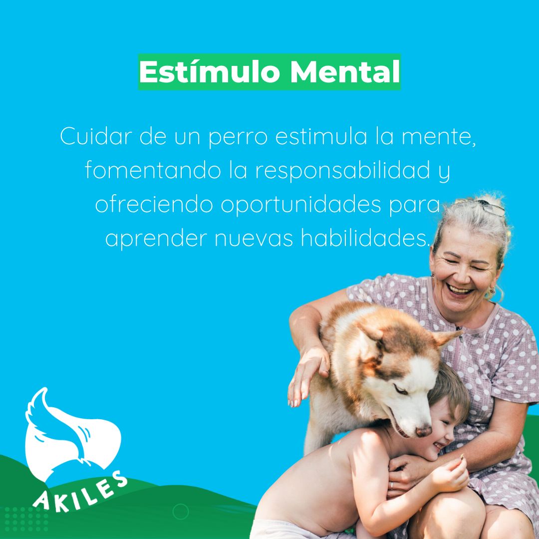 Akiles_cl's tweet photo. 🌟 Descubre cómo la conexión entre perros 🐾 y personas mayores va más allá de la alegría. Desde brindar compañía constante hasta estimular la mente, esta relación única ofrece beneficios inigualables que transforman vidas. 🐶💖 #VinculoEspecial #BienestarSenior #Antofagasta https://t.co/6xZRLCliVh