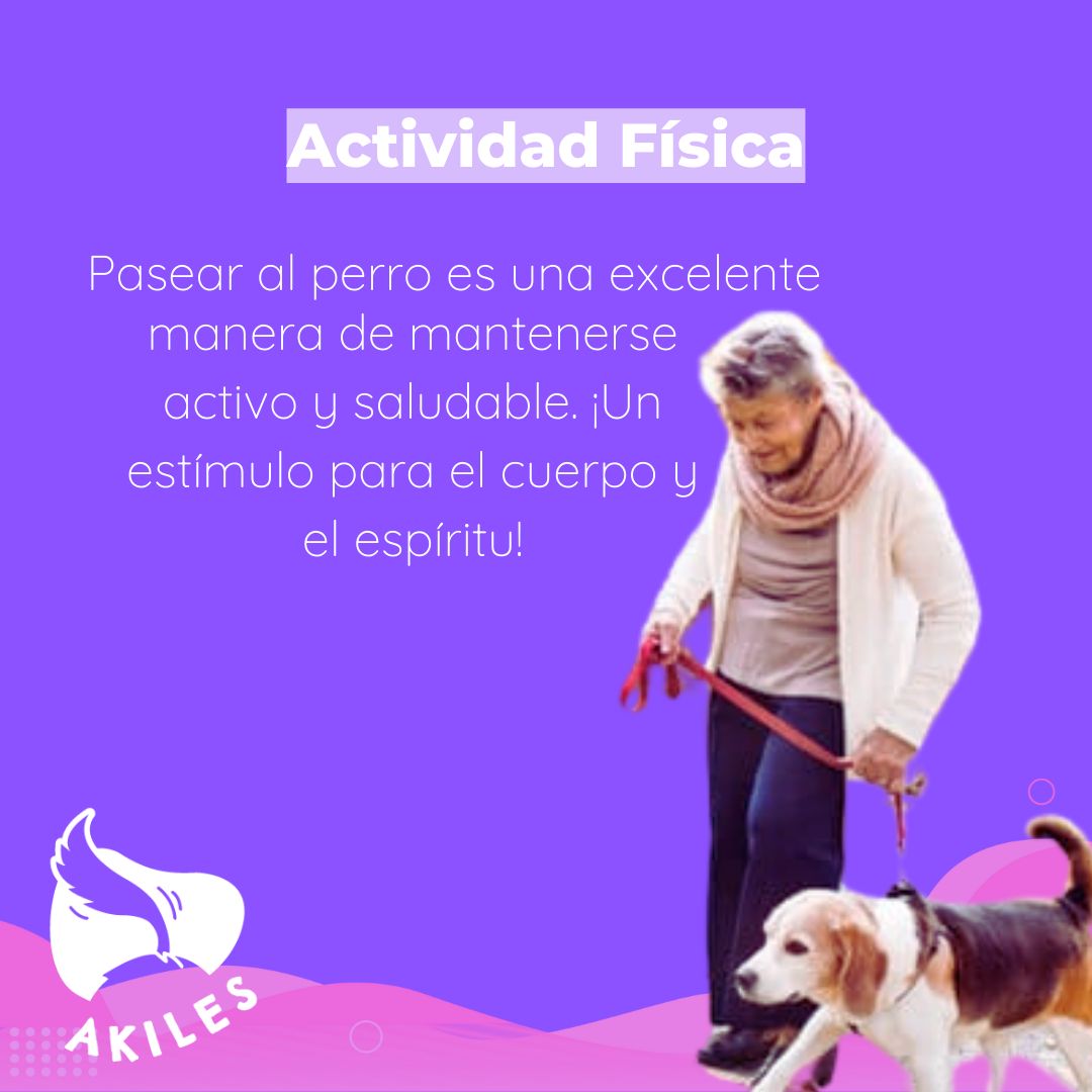 Akiles_cl's tweet photo. 🌟 Descubre cómo la conexión entre perros 🐾 y personas mayores va más allá de la alegría. Desde brindar compañía constante hasta estimular la mente, esta relación única ofrece beneficios inigualables que transforman vidas. 🐶💖 #VinculoEspecial #BienestarSenior #Antofagasta https://t.co/6xZRLCliVh