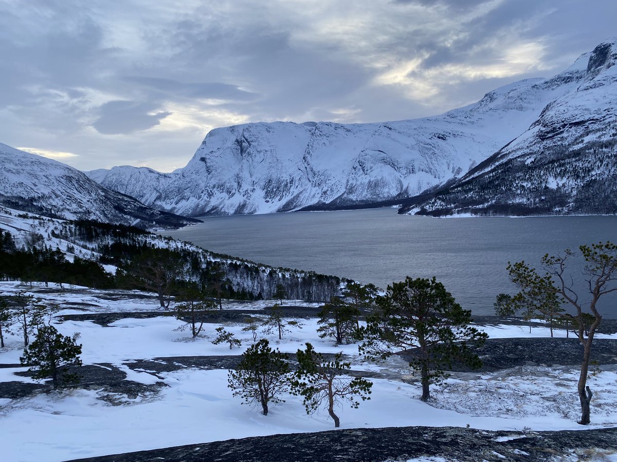 Codes_4's tweet photo. #excursion a #narvik #noruega #norwegen para ver #fiordos https://t.co/DQ3UhX3CzK