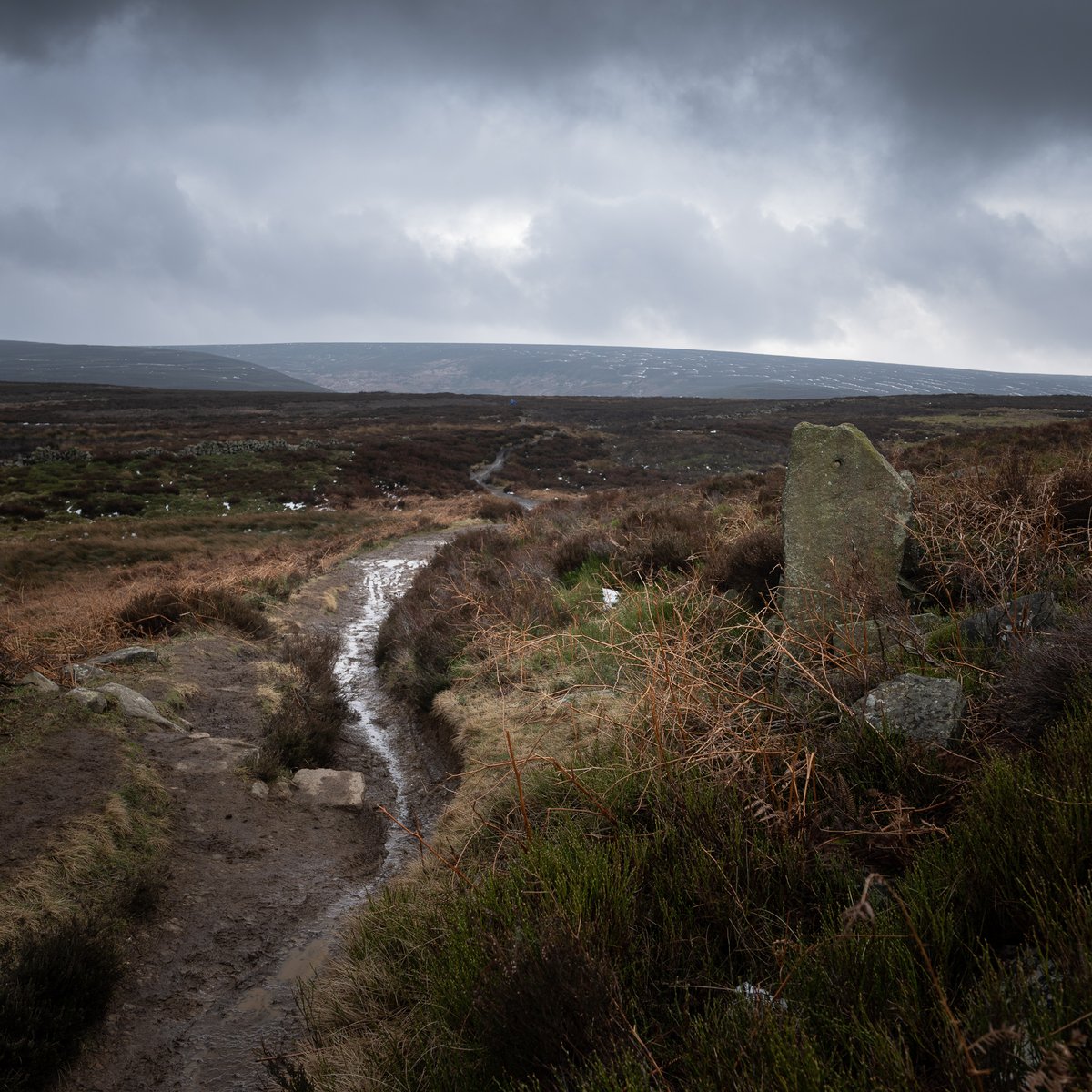 basculeteller's tweet photo. Langsett moors #photography #landscape #Yorkshire #Penistone #10km #Flâneur #psychogeography #DarkFairytale #RuralMarginalia #SonyFE1635PZf4 https://t.co/Yc0S7iHAlU
