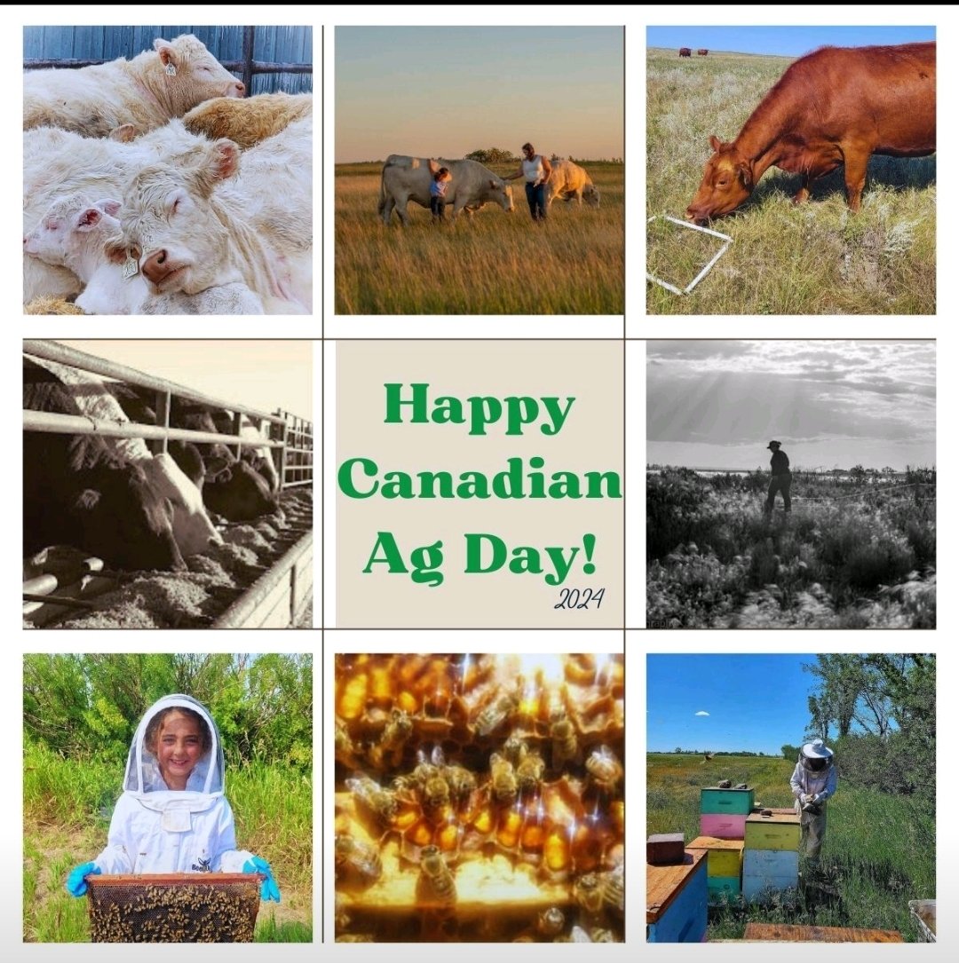 Happy Canadian Ag Day! 

My slice of Ag is all about cattle, rangelands, and bees. I learn new things every day and am ever so grateful to be part of the living landscape where I can raise my family and grow our food. 

#cdnagday