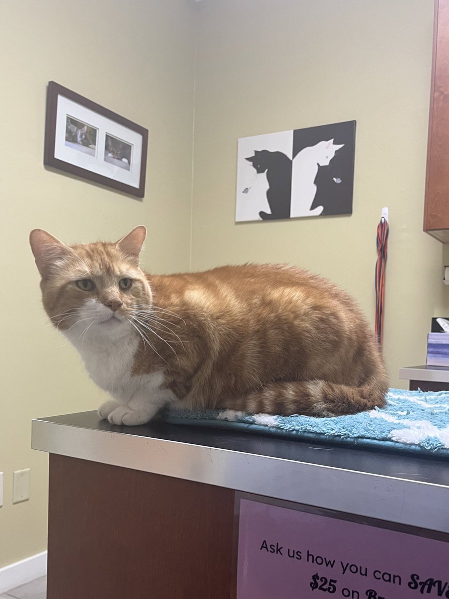 mrfishtopher's tweet photo. the doctor is in https://t.co/tWP2IFqhVd