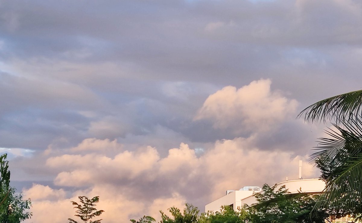 zhoumo (@zhoumo576725) on Twitter photo 