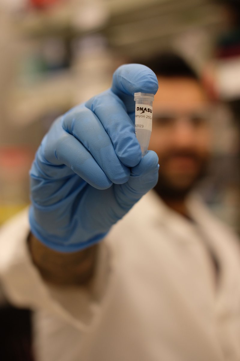 DNASUPlasmids's tweet photo. With the world's largest collection of human genome clones, DNASU is setting the standard for plasmid repository research. Learn more about our products and advancements in human genome research on our  website. #plasmids #human #genes #plasmidrepository #genome #sciencenews #DNA https://t.co/whFUNEhNUy